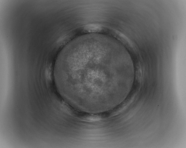 X0000113310604200909281126