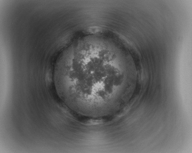 X0000113310606200909281126