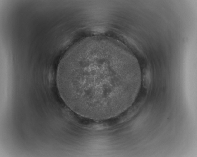 X0000113310608200909281126