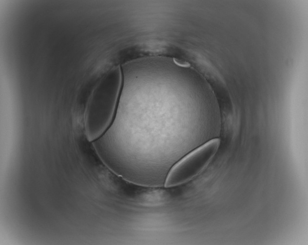 X0000113310609200909281126