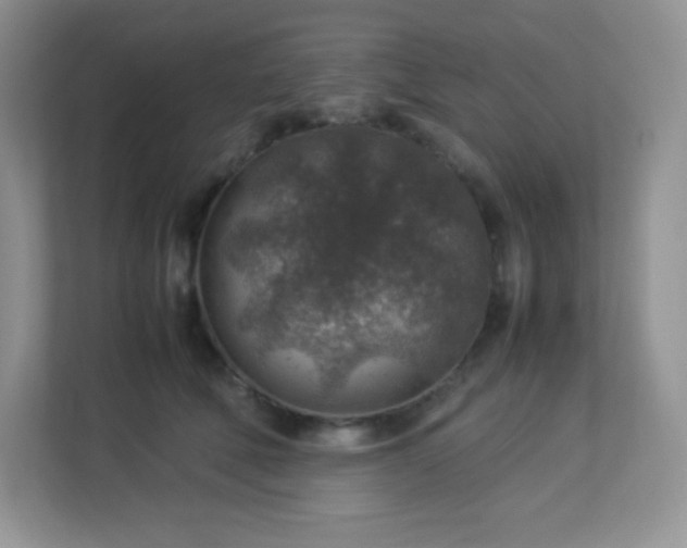 X0000113310610200909281126