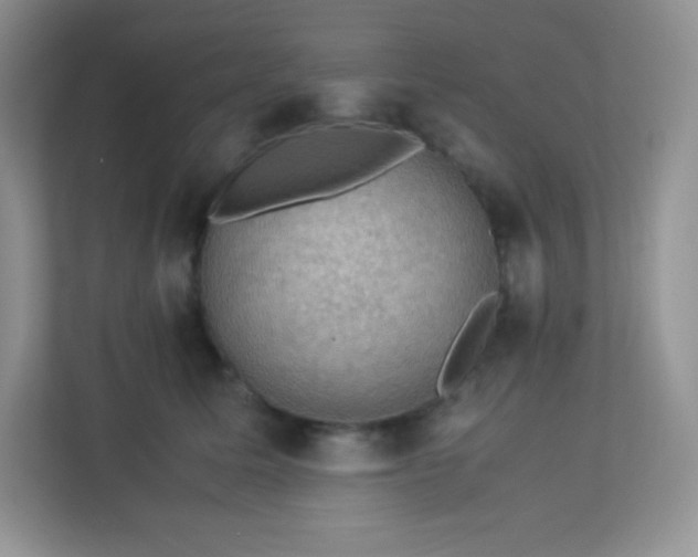 X0000113310611200909281126