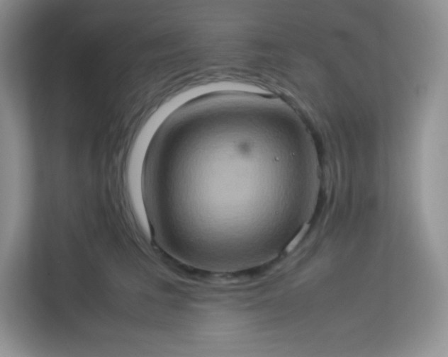 X0000113310613200909281126