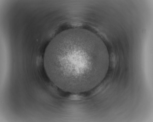 X0000113310614200909281126