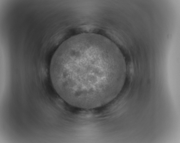 X0000113310615200909281126