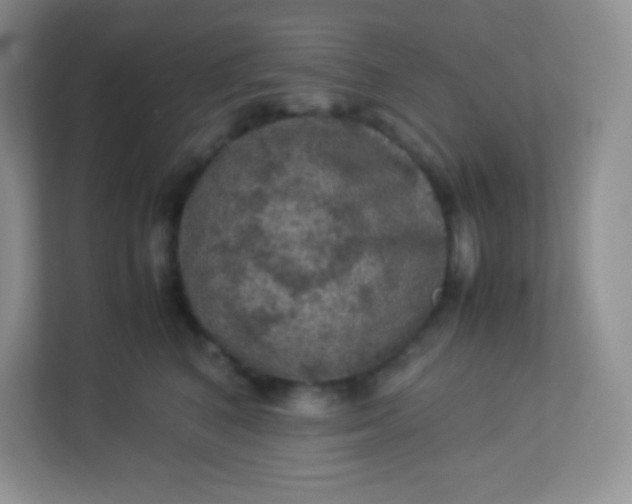 X0000113310616200909281126