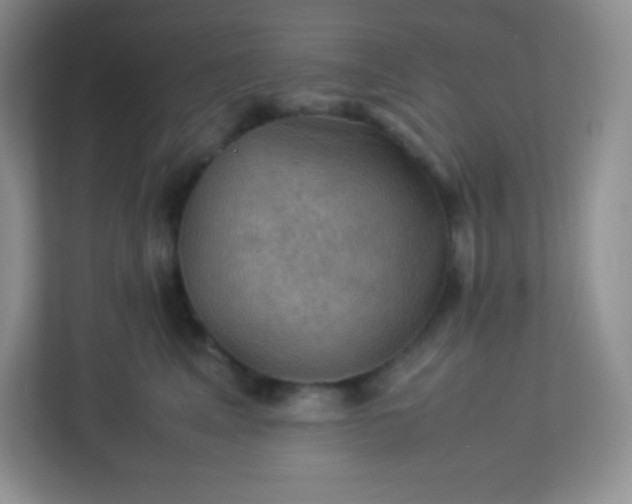 X0000113310617200909281126