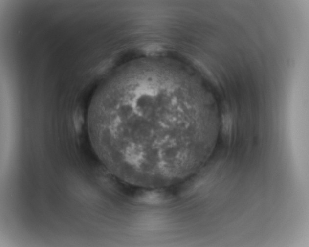 X0000113310618200909281126