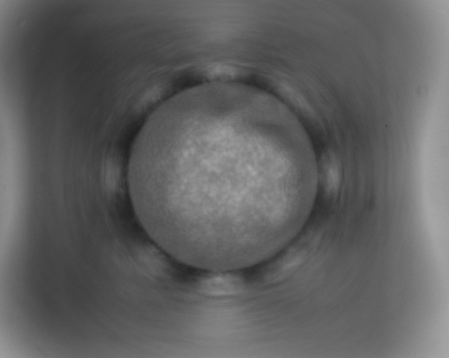 X0000113310619200909281126