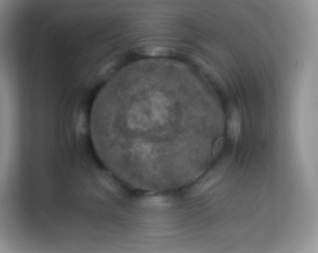 X0000113310620200909281126