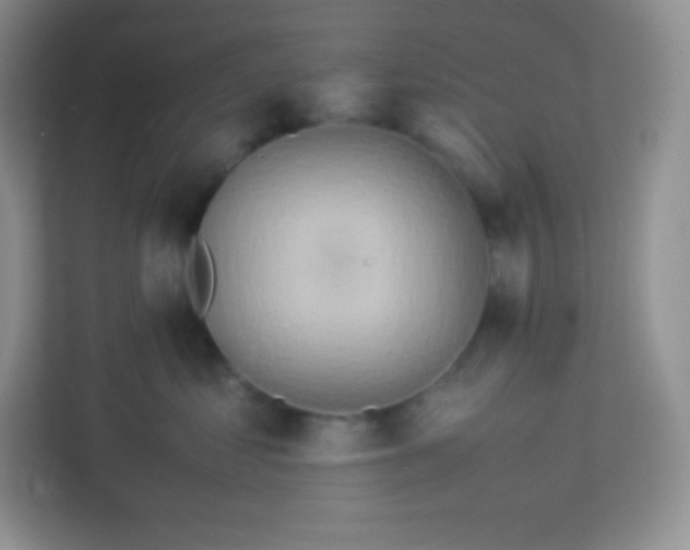 X0000113310621200909281126