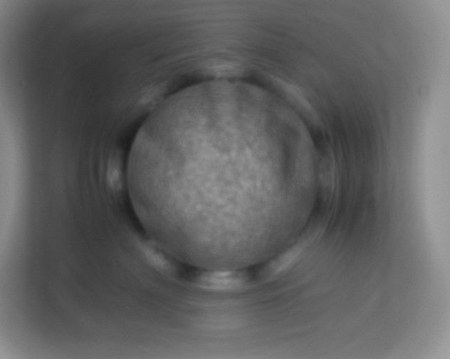 X0000113310622200909281126