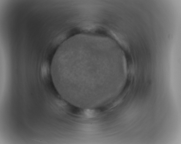 X0000113310623200909281126