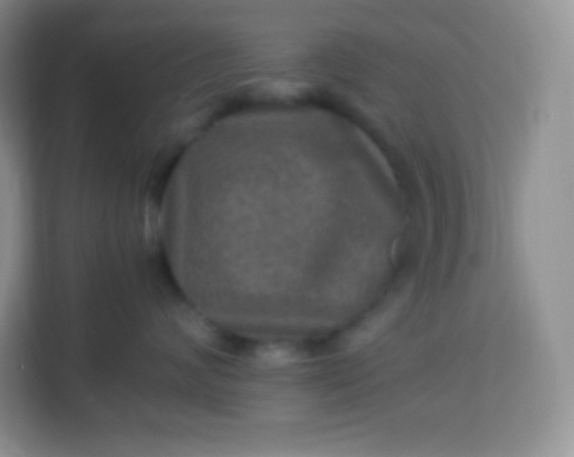 X0000113310624200909281126