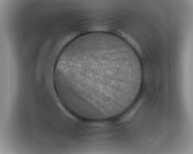 X0000113310625200909281125