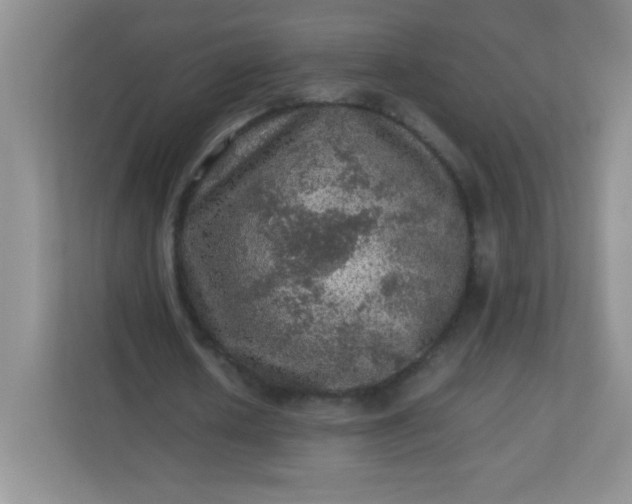 X0000113310626200909281125