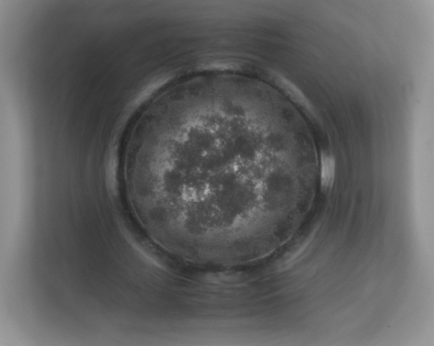 X0000113310627200909281125