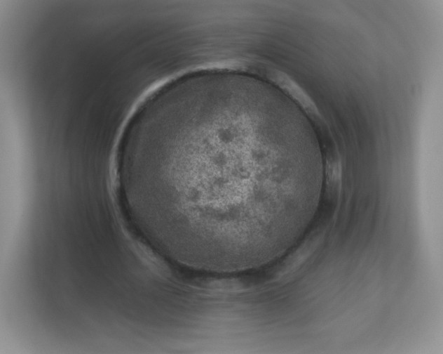 X0000113310628200909281125