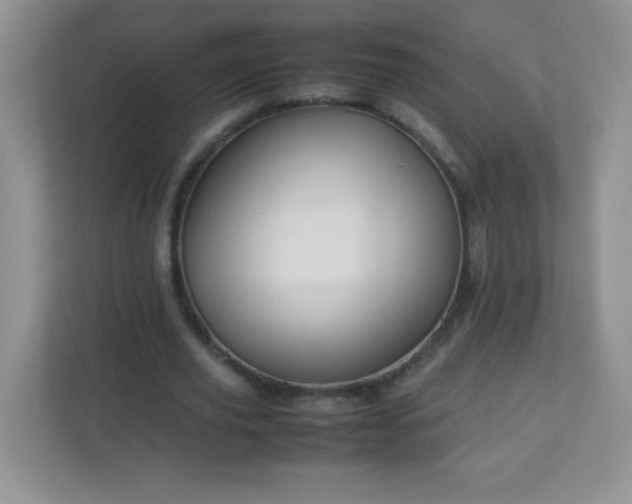 X0000113310629200909281125