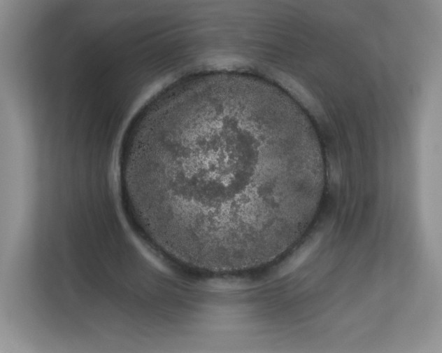 X0000113310630200909281125