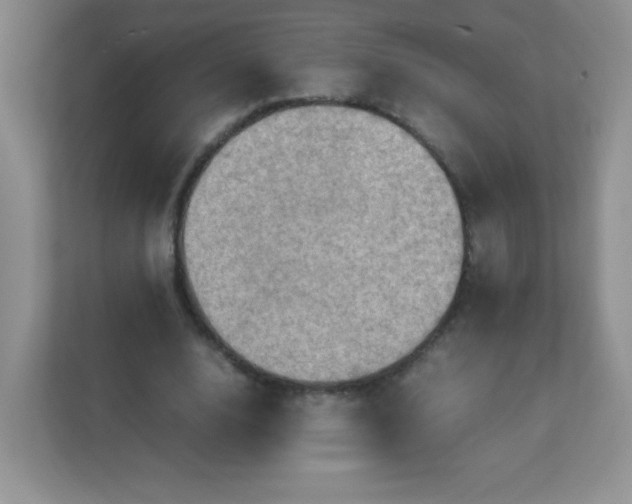 X0000113310632200909281125