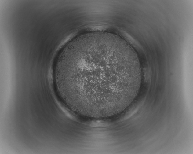 X0000113310634200909281125