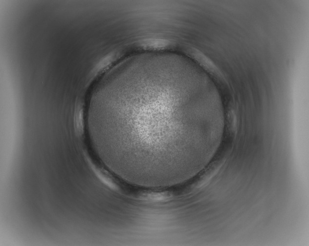 X0000113310638200909281125