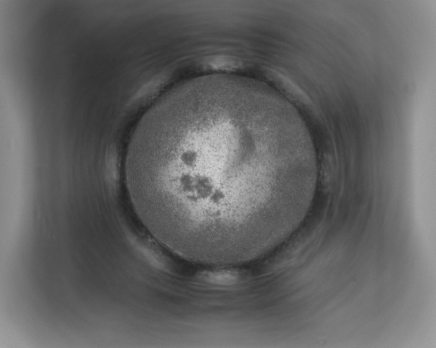 X0000113310639200909281125