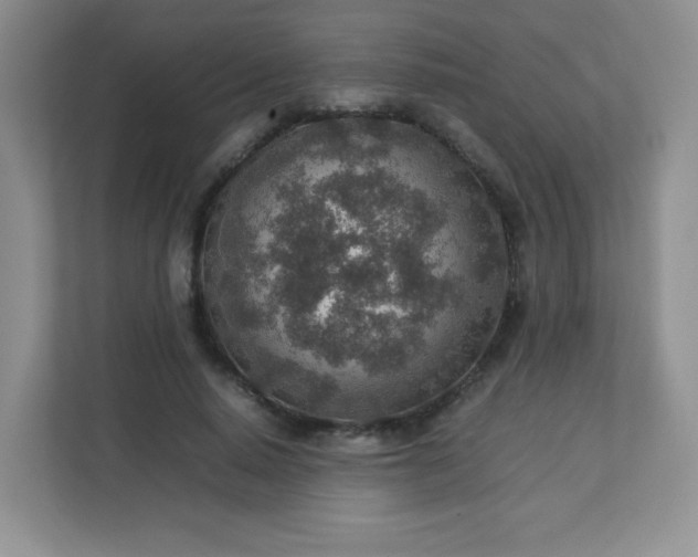 X0000113310640200909281125