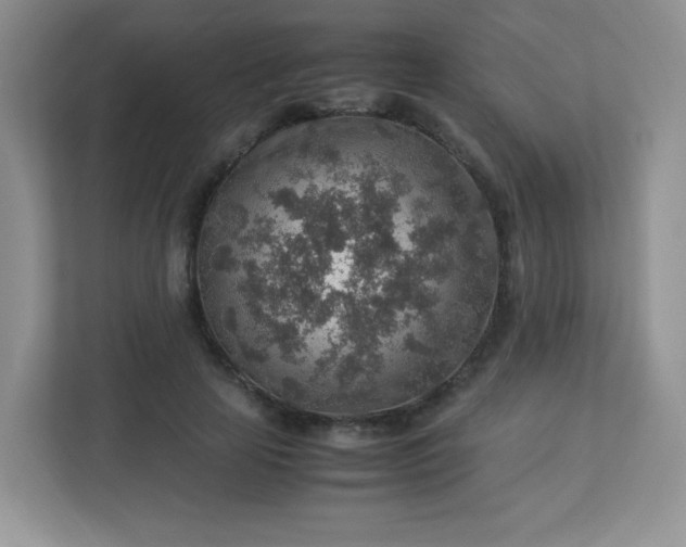 X0000113310641200909281125