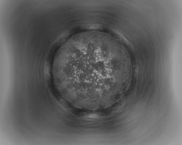 X0000113310643200909281125