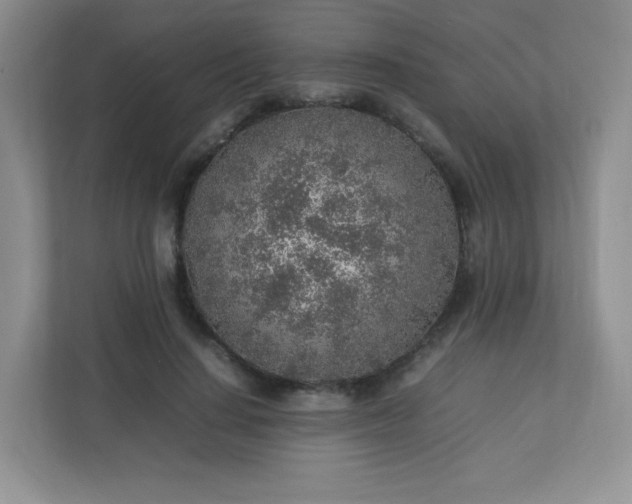 X0000113310644200909281125