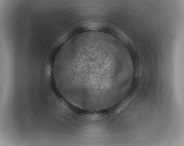 X0000113310646200909281125