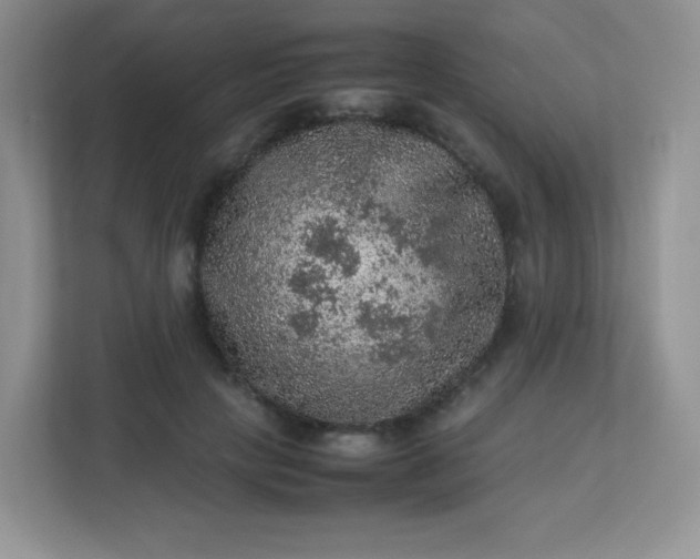 X0000113310649200909281125