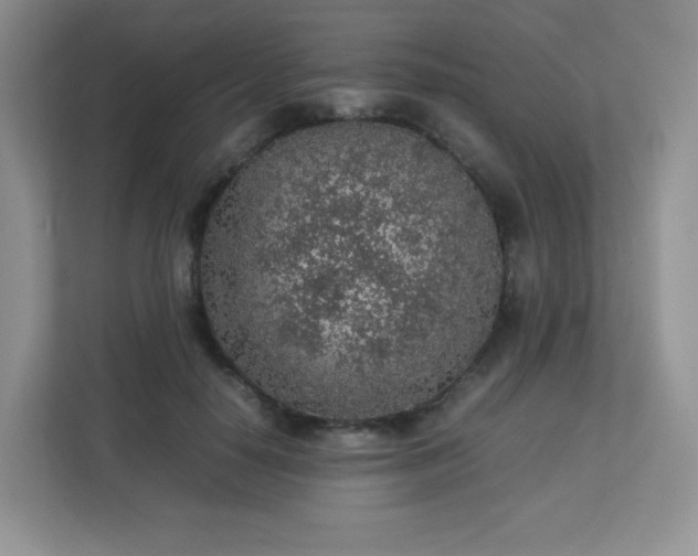 X0000113310650200909281125