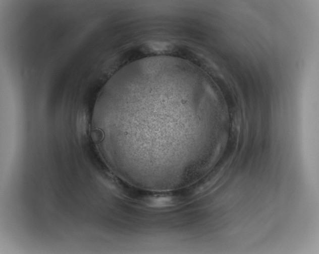 X0000113310651200909281125