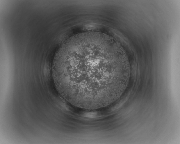 X0000113310653200909281125