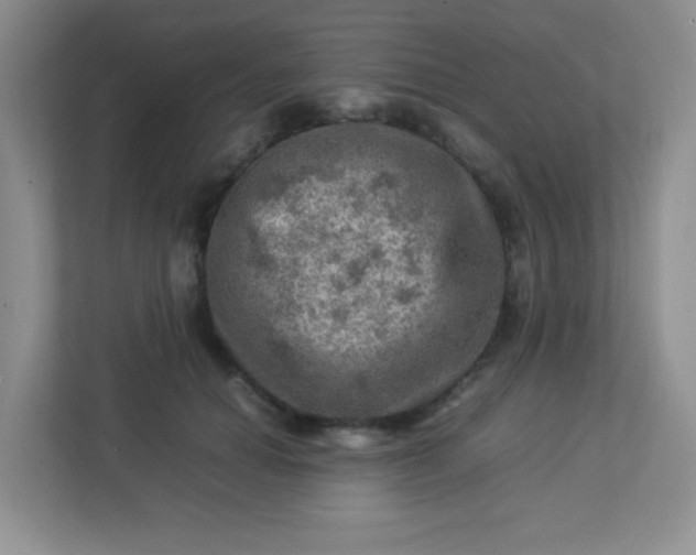 X0000113310654200909281125