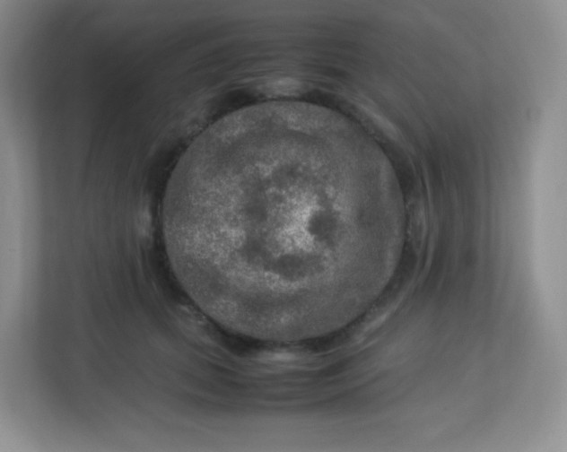 X0000113310655200909281125