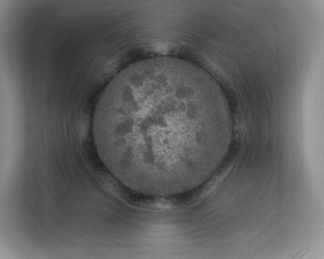 X0000113310656200909281125