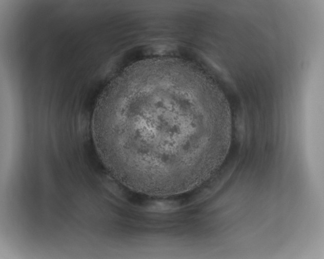 X0000113310657200909281125