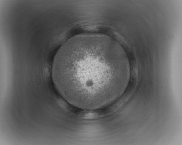 X0000113310658200909281125