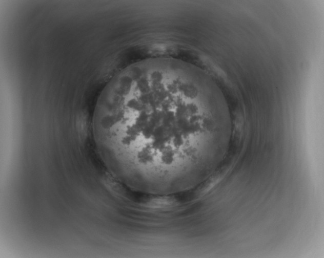 X0000113310659200909281125