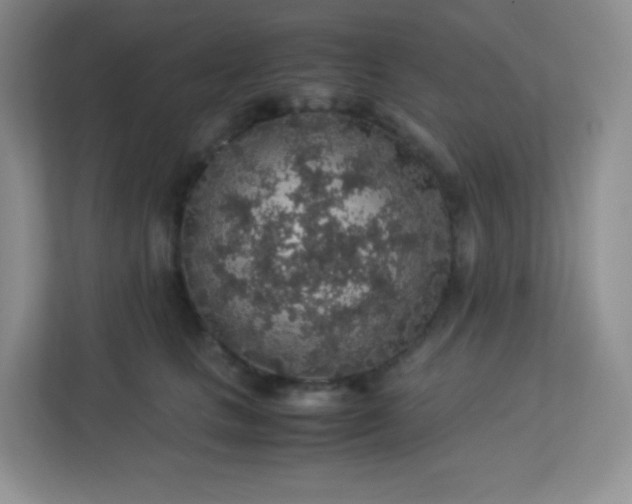 X0000113310661200909281125