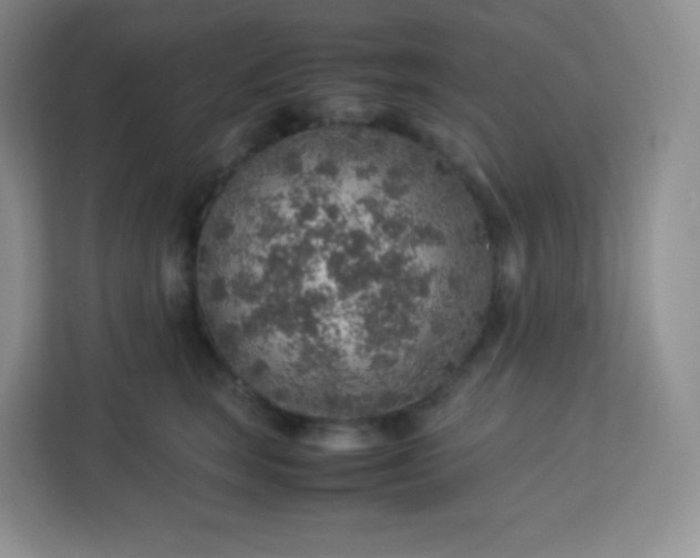 X0000113310663200909281125