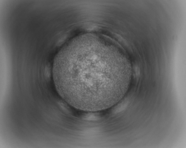 X0000113310664200909281125