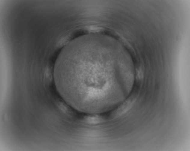 X0000113310666200909281125