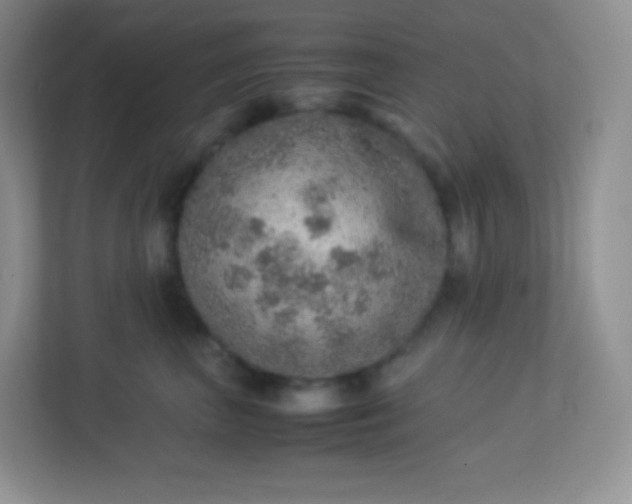 X0000113310667200909281125