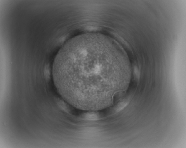 X0000113310668200909281126