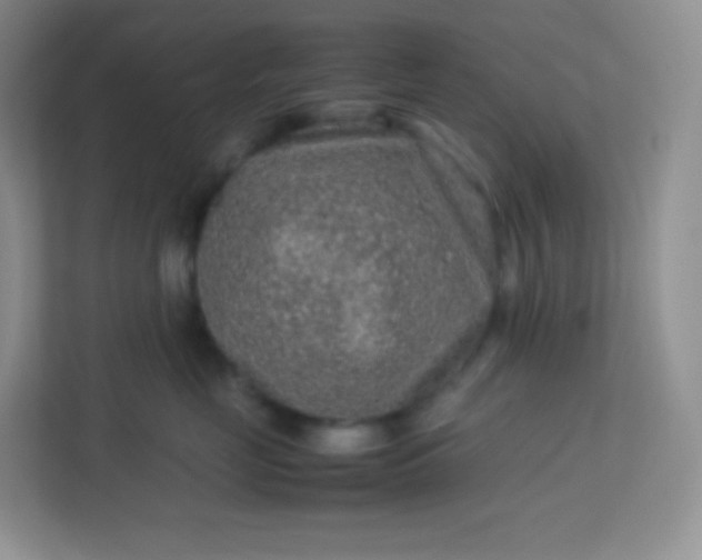 X0000113310669200909281126